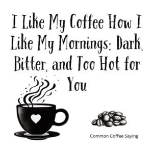 White ceramic coffee mug with black text: I Like My Coffee How I Like My Mornings Dark Bitter and Too Hot for You
